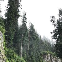 Profile Picture of Curtis Beal (@curtis-beal-3) on Quora