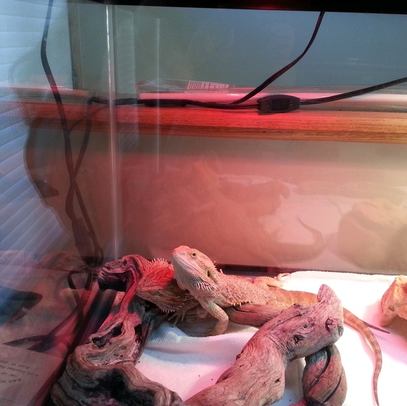 Profile Picture of Marci Umansky (@marciu) on Poshmark