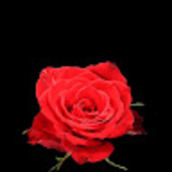 Profile Picture of Beth Macioge (@bethmacioge) on Poshmark