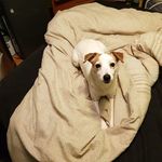 Profile Picture of Bryan Darosa Sr. (@darosasr.bryan) on Instagram