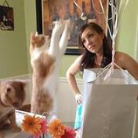 Profile Picture of Amanda Holloway Hand (@amanda-holloway-hand) on Quora