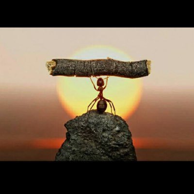 Profile Picture of Michael Schnurr (@SchnurrMichael) on Twitter