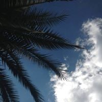 Profile Picture of Thelma Miller (@thelma-miller-3) on Quora