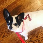 Profile Picture of Debbie Kramer (@therealbenkramer) on Instagram