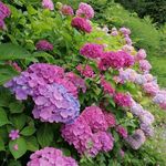 Profile Picture of Michelle Weckesser (@michelle_wksr) on Instagram