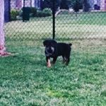 Profile Picture of Mr.Dewalt/$oncy (@andre.feaster.3367) on Instagram