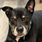 Profile Picture of Ericka Keeler Woronik (@zulatown) on Instagram