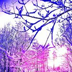 Profile Picture of David Lercher (@davecraft88) on Instagram