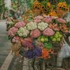 Profile Picture of apollonguyen (@apollonguyen) on Tiktok