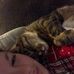 Profile Picture of Colleen Carey (@colleen.carey.58) on Facebook