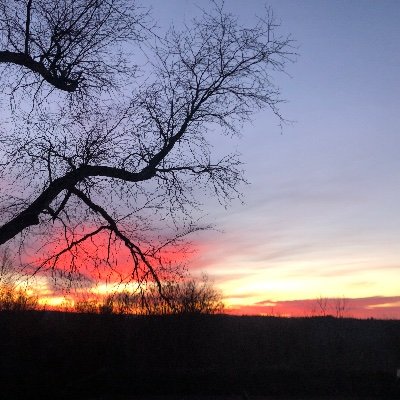Profile Picture of Ian Coffey (@ianmcoffey) on Twitter