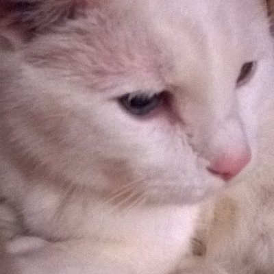 Anna Rita Travaglini - Twitter Profile Picture of Anna Rita Travaglini (@annaritatrav61) on Twitter