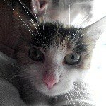 Profile Picture of Paul Pflüger (@paul.pf) on Instagram