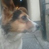 Profile Picture of cindydowling (@@cindydowling) on Tiktok