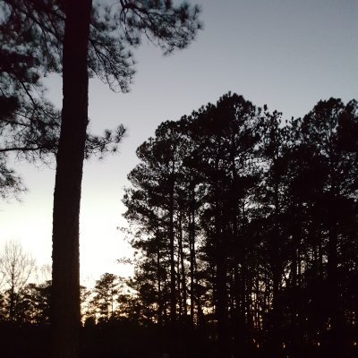 Profile Picture of Mike Pulley (@Aquawolf2020) on Twitter