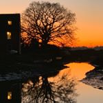 Profile Picture of Sarah Darwin (@sarah.darwin) on Instagram