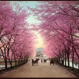 Charlotte Reynolds - Twitter Profile Picture of Charlotte Reynolds (@CharReynolds18) on Twitter