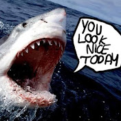 Profile Picture of Tom Callaghan (@loudmouthaussie) on Youtube