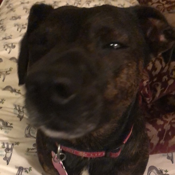 Profile Picture of Ben Werner (@bwerner0319) on Poshmark