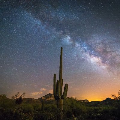 Profile Picture of Ashlee Quinn (@AshesQT) on Twitter