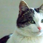 Profile Picture of clare hoffman (@hoffman271zjje) on Instagram