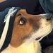 Profile Picture of James Heaney (@james_heaney) on Pinterest