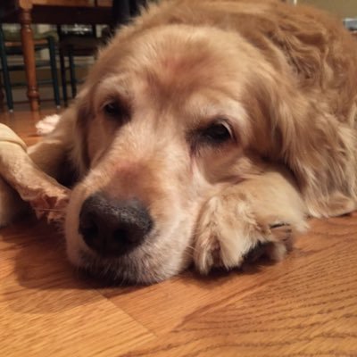 Profile Picture of Elizabeth Sanders (@ebeth27527) on Twitter