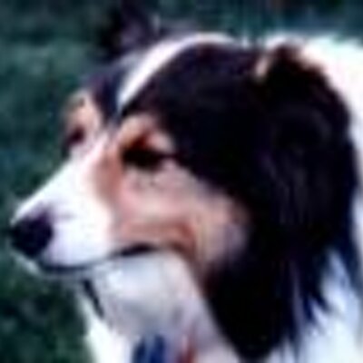 Profile Picture of Bob Mennell  🇨🇦 (@BoomerGolf1) on Twitter