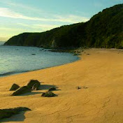 Profile Picture of Ancy Thomas (@ancythomas82) on Youtube