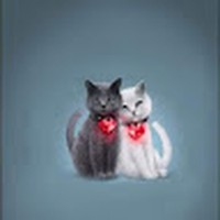 Profile Picture of Barb Conrad (@barb-conrad-6) on Quora