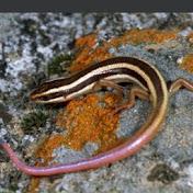 Profile Picture of Travis Wagner (@traviswagner2697) on Youtube