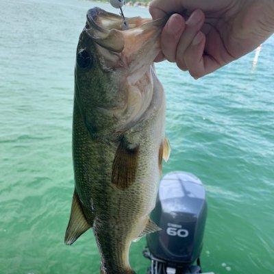 Profile Picture of James Spagnolo (@JamesSpagnolo1) on Twitter