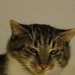 Profile Picture of Georgette Trautmann Said (@madame_georgette) on Instagram