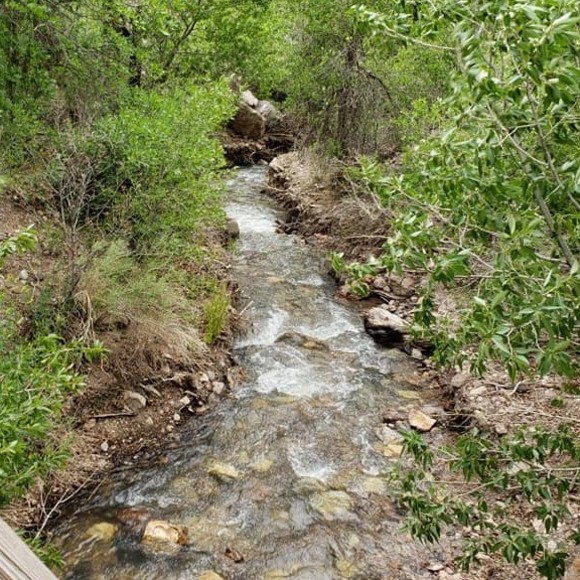 Profile Picture of Billy Petricka (@djbtk) on Poshmark