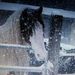 Profile Picture of Bambi Walker (@horse2have) on Pinterest