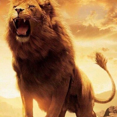 Profile Picture of Guillermo Ocampo (@guilloteoca) on Twitter