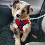 Profile Picture of Stephanie woods (@woodsstephanie79) on Instagram