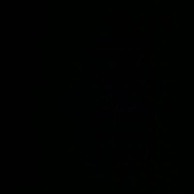 Profile Picture of Hayden Mullins (@wolfgangmullins) on Twitter