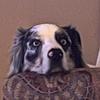 Profile Picture of mitchelllamb5 (@@mitchelllamb5) on Tiktok