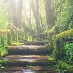 Profile Picture of Alan Bivens (@Alan-Bivens) on Facebook