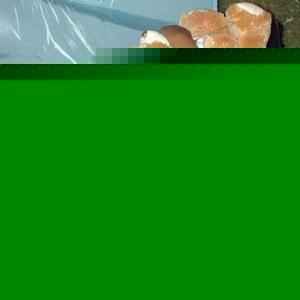 Profile Picture of Miriam Valladares (@382455487) on Myspace