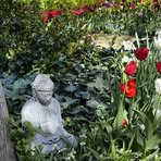 Profile Picture of Suzanne Weiss (@suzanne.weiss.96) on Facebook