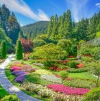 Profile Picture of Ursula Quispe Choque (@wendy.quispe.7140) on Facebook