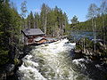 Profile Picture of Oulanka National Parkon Wikipedia