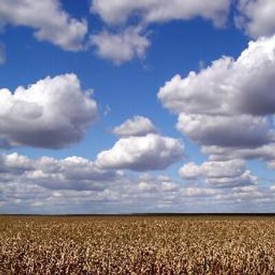 Profile Picture of TheBusinessCloud (@RichardCloud) on Twitter