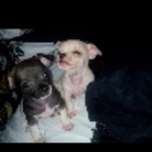 Profile Picture of Mayelin Almanzar (@chichii) on Poshmark