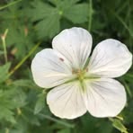 Kristina McGuire - Facebook Profile Picture of Kristina McGuire (@kristina.mcguire2) on Facebook