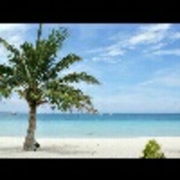 Profile Picture of Kim Paulk (@slymkem) on Poshmark