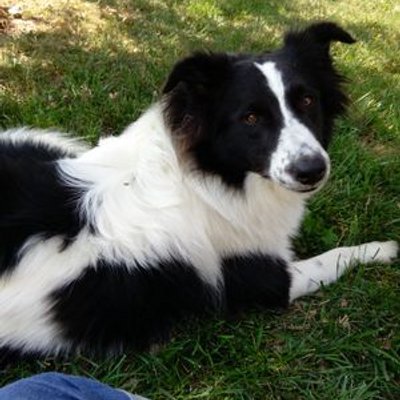 Profile Picture of Karen Mansfield (@@Ben_Pippin1) on Twitter