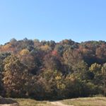 Profile Picture of Krystal Rader (@krader0320) on Instagram